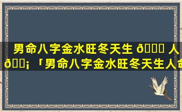 男命八字金水旺冬天生 🐎 人 🐡 「男命八字金水旺冬天生人命好吗」